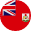 Flag Image
